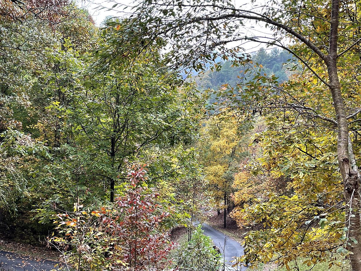 Beautiful mountain views from Hypnowisdom property - Blue Ridge NC