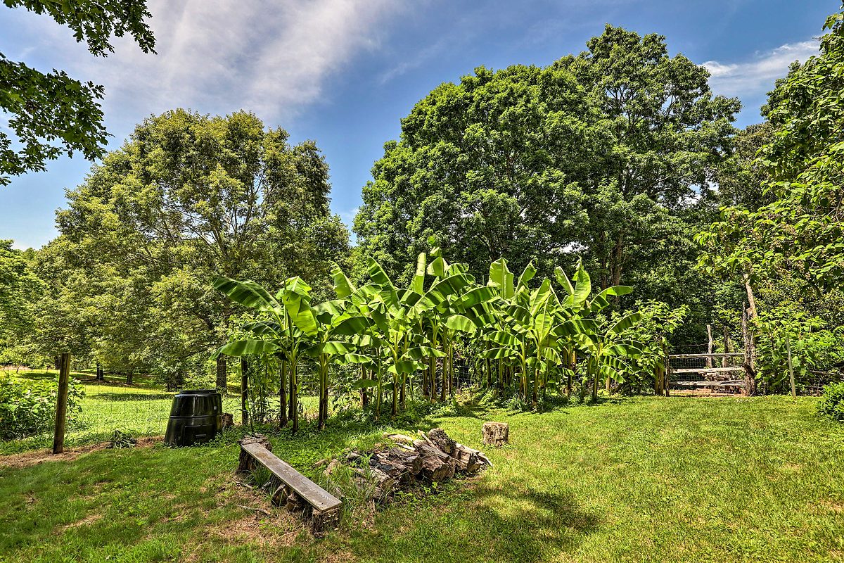 Mountain property view - Hypnowisdom Western NC retreat