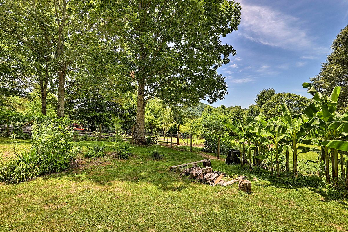 Outdoor spaces at Hypnowisdom private mountain estate