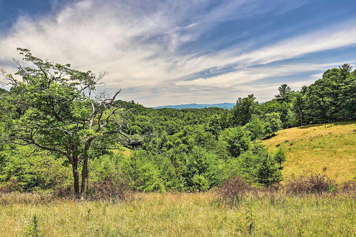 Property grounds - Hypnowisdom 14-acre estate