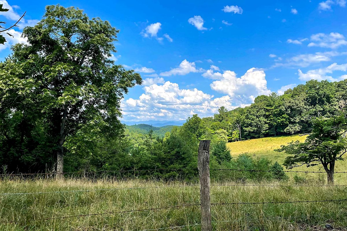 Natural setting at Hypnowisdom mountain estate