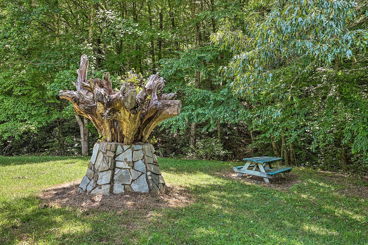 Mountain retreat overview - Hypnowisdom NC