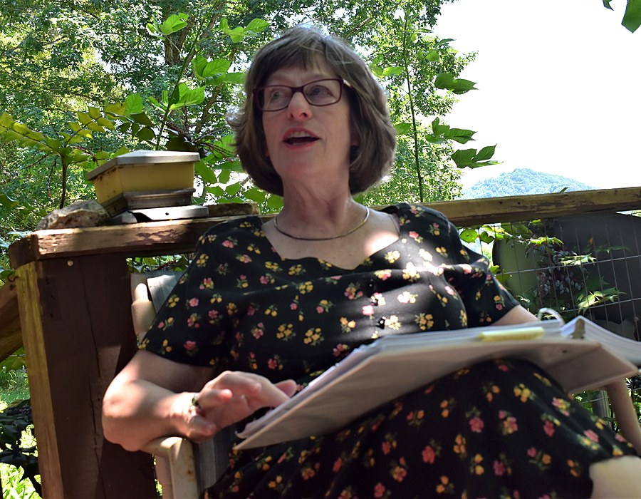 Hypnotherapy service at Hypnowisdom Asheville NC
